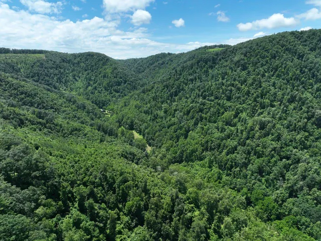 a view of a green field in a field