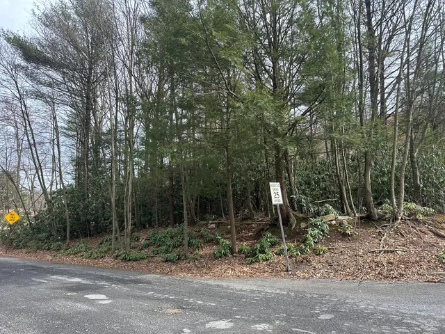 a view of a park with large trees