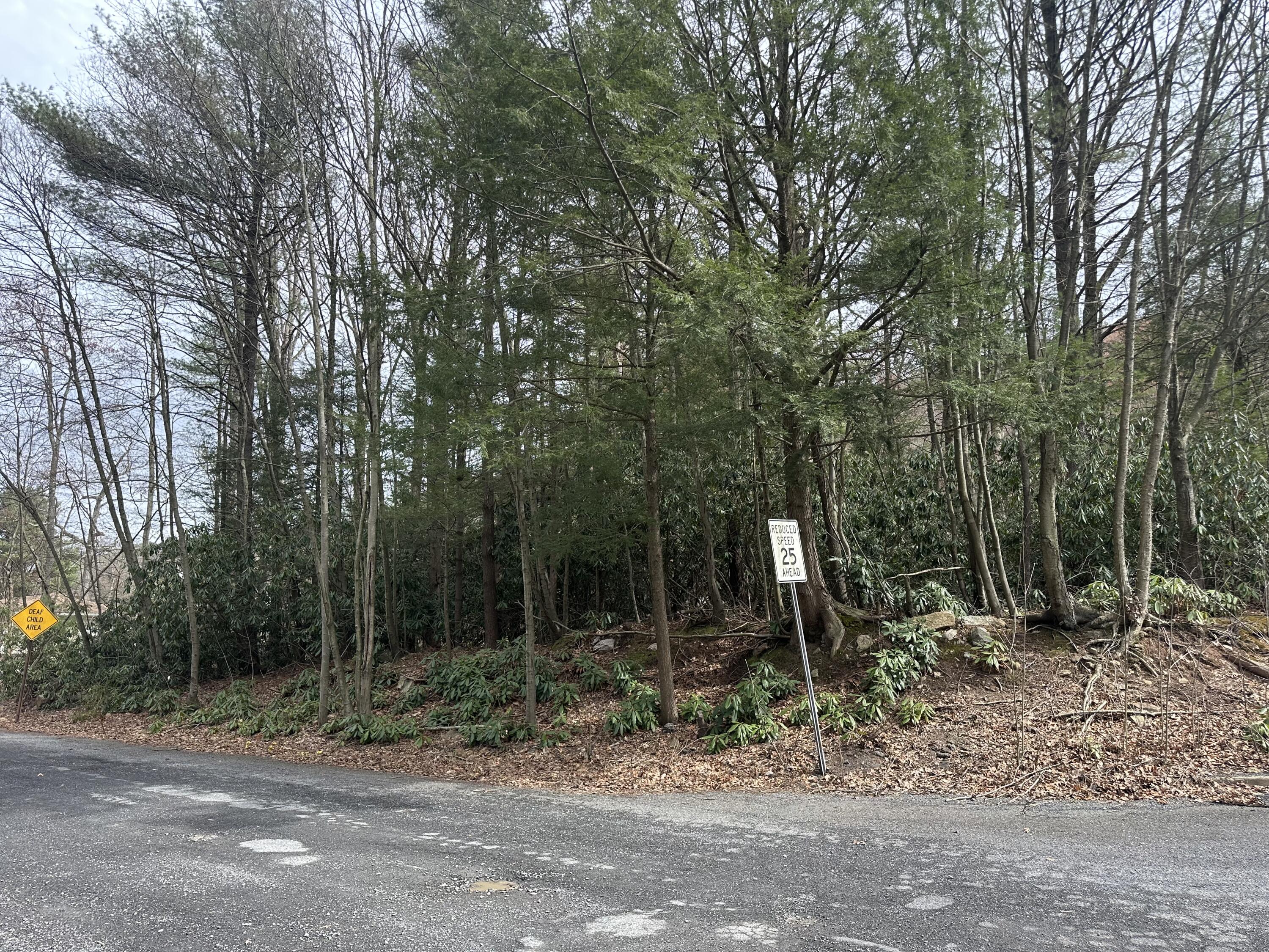 11th Avenue Nesquehoning, PA 18240 - Photo 3 of 3 a view of a park with large trees