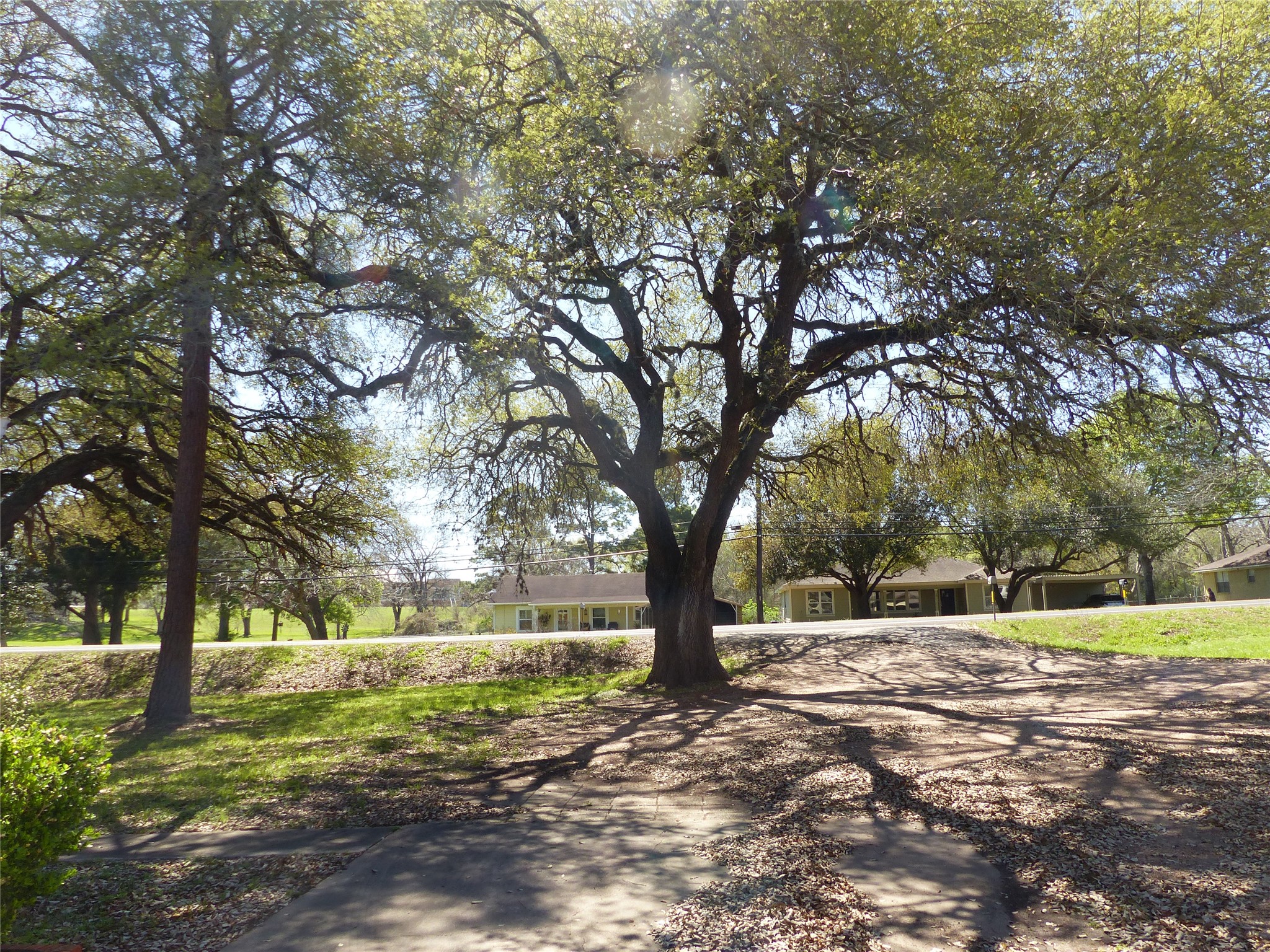 1102 West Main Street Brenham, TX 77833 - Photo 13 of 23