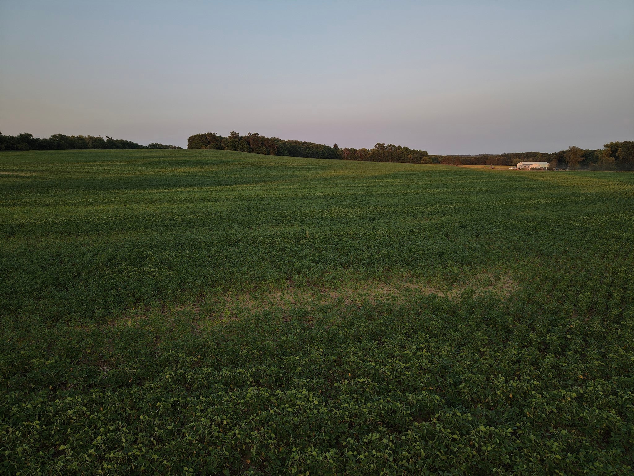 N1290 County G Road Osseo, WI 54758 - Photo 10 of 22 Gallery Image 10