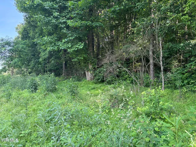 $16,500 | Tbd Reedy Creek Road, Abingdon, VA 24210