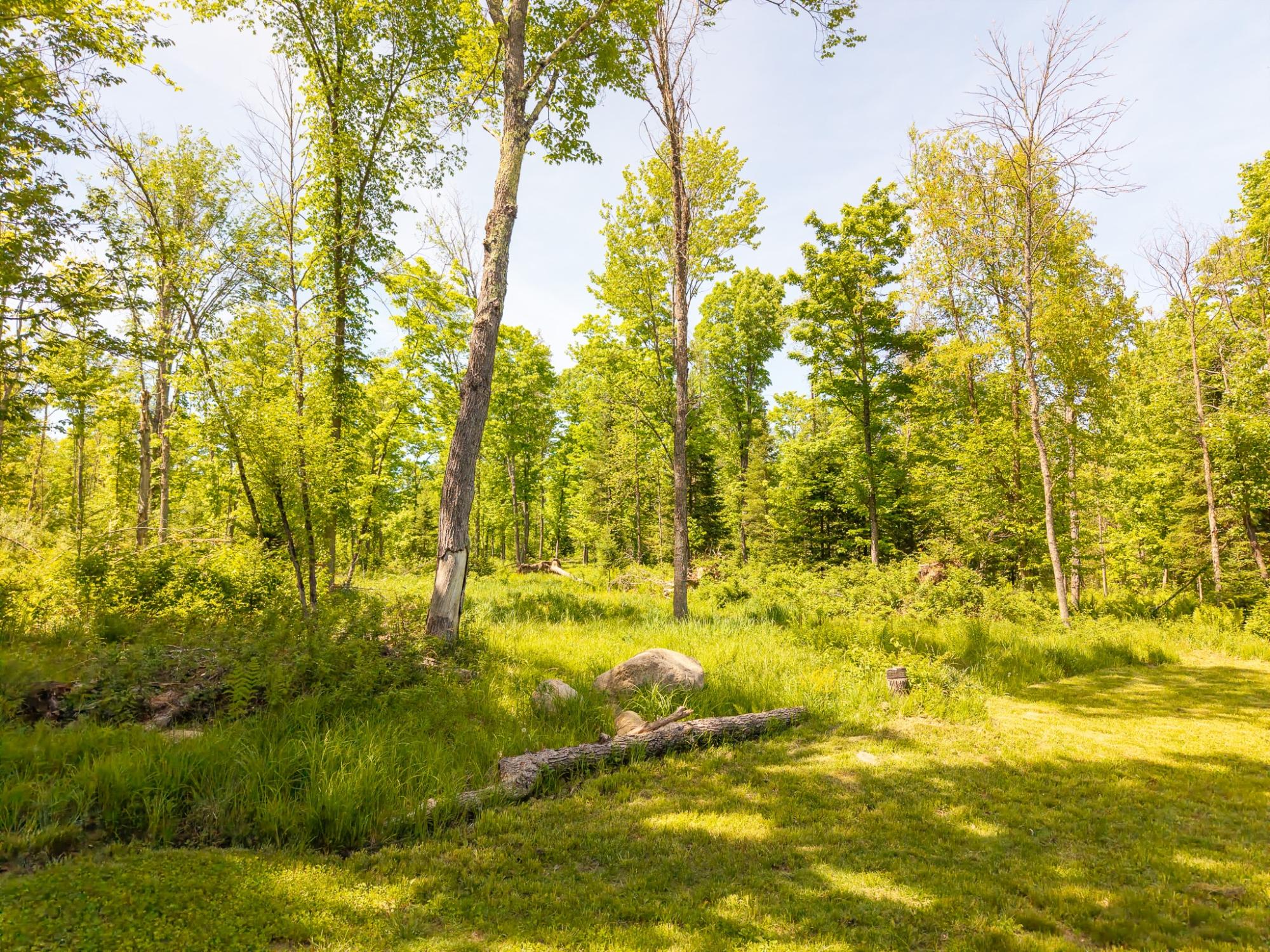 87978 Cth F Butternut, WI 54514 - Photo 45 of 50 Gallery Image 45