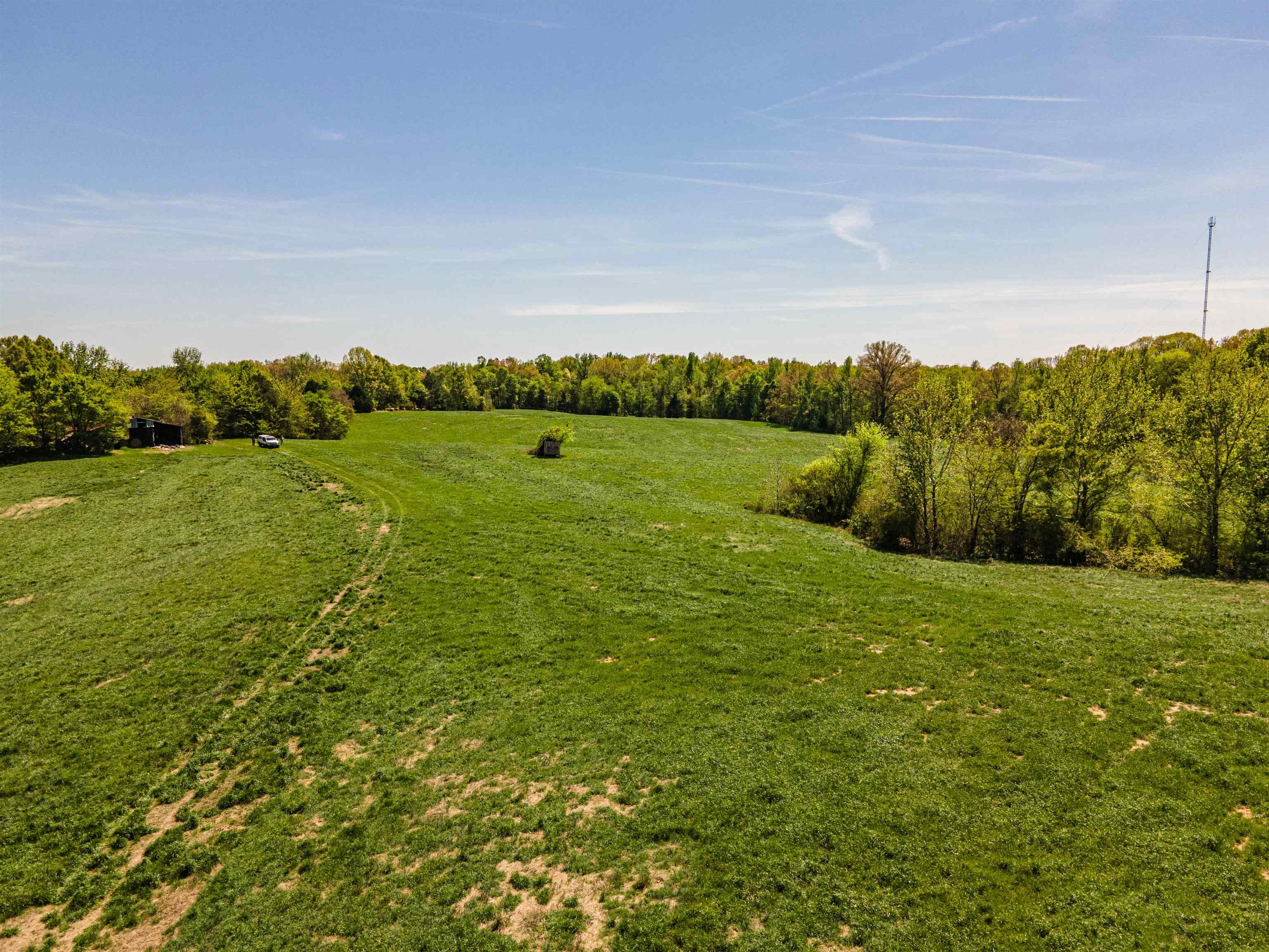 830 McKnight Loop Mason, TN 38049 - Photo 11 of 21