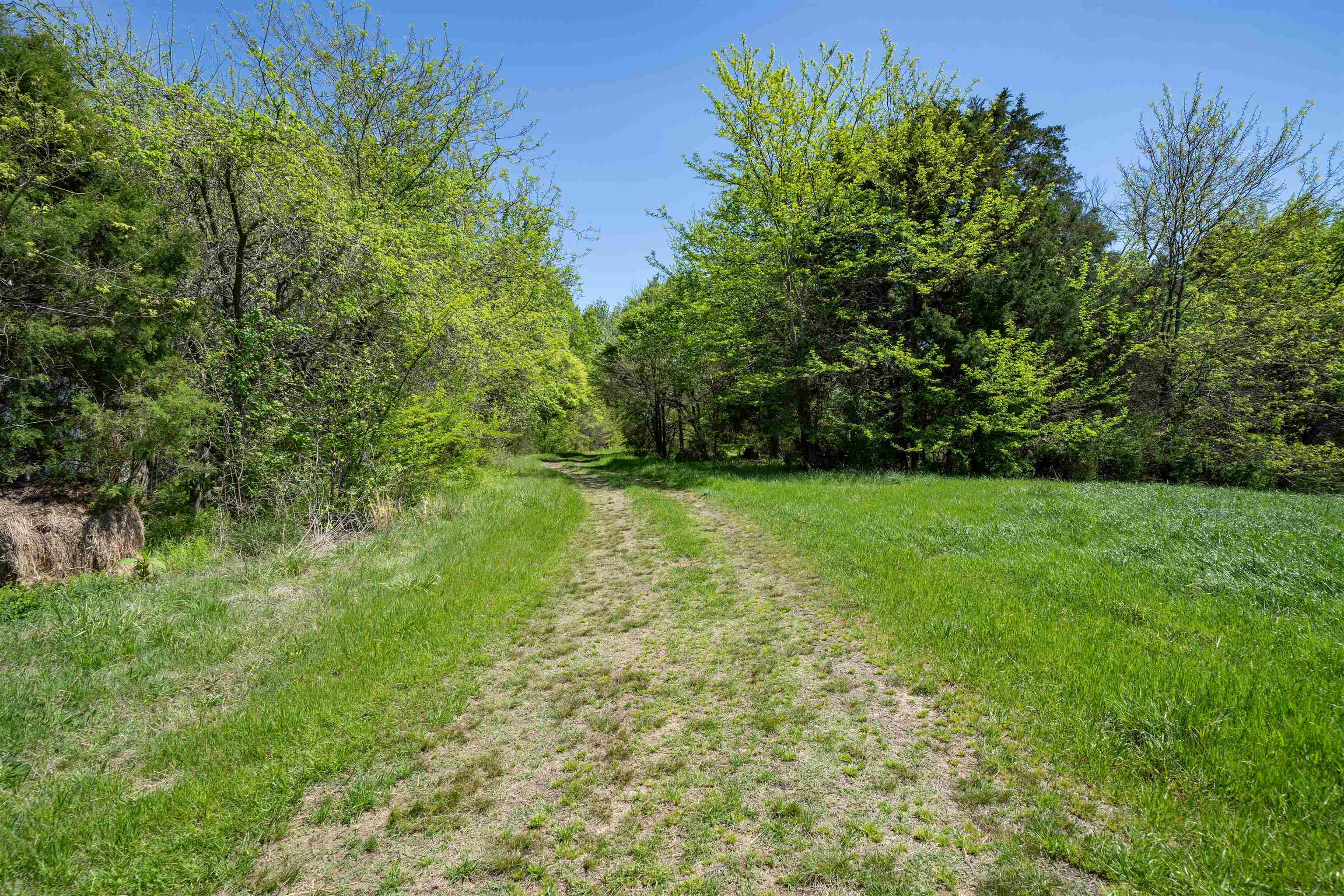 830 McKnight Loop Mason, TN 38049 - Photo 16 of 21