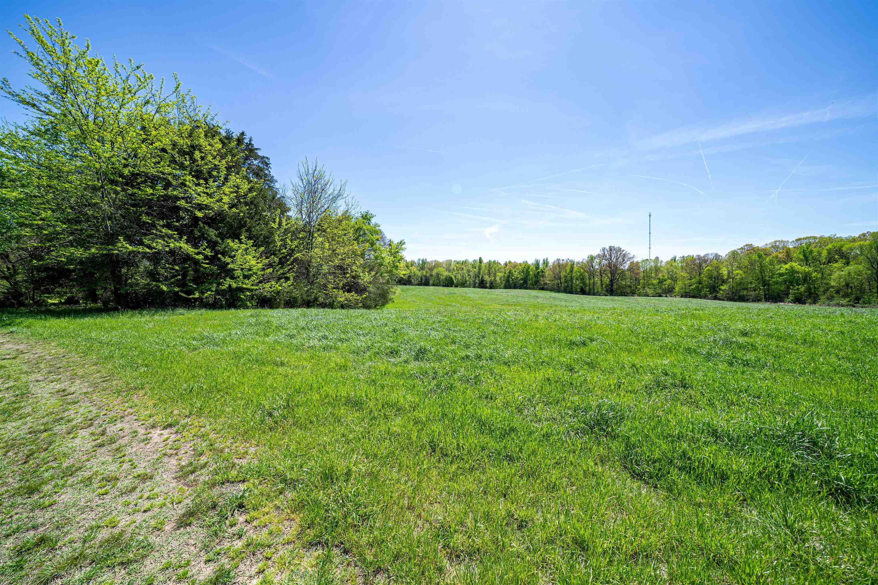 830 McKnight Loop Mason, TN 38049 - Photo 17 of 21