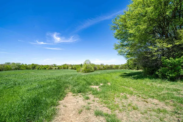 $899,000 | 830 McKnight Loop, Mason, TN 38049