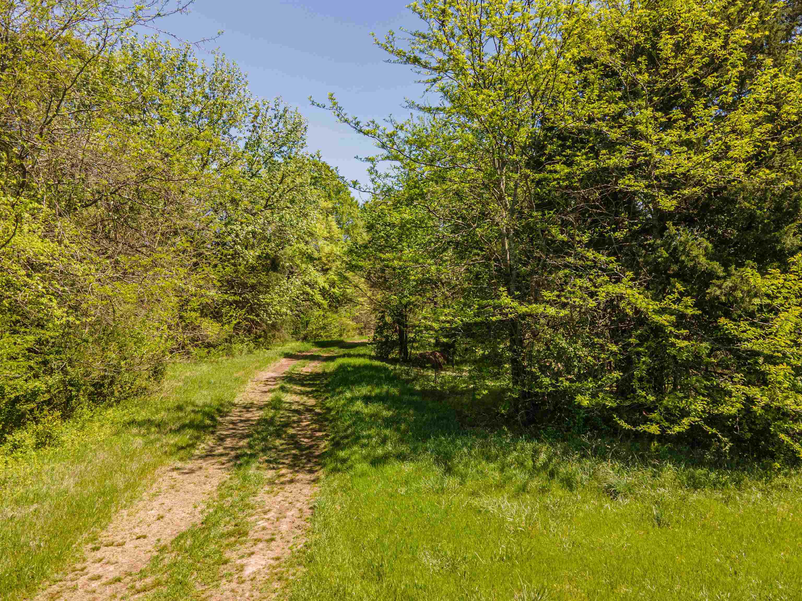 830 McKnight Loop Mason, TN 38049 - Photo 2 of 21