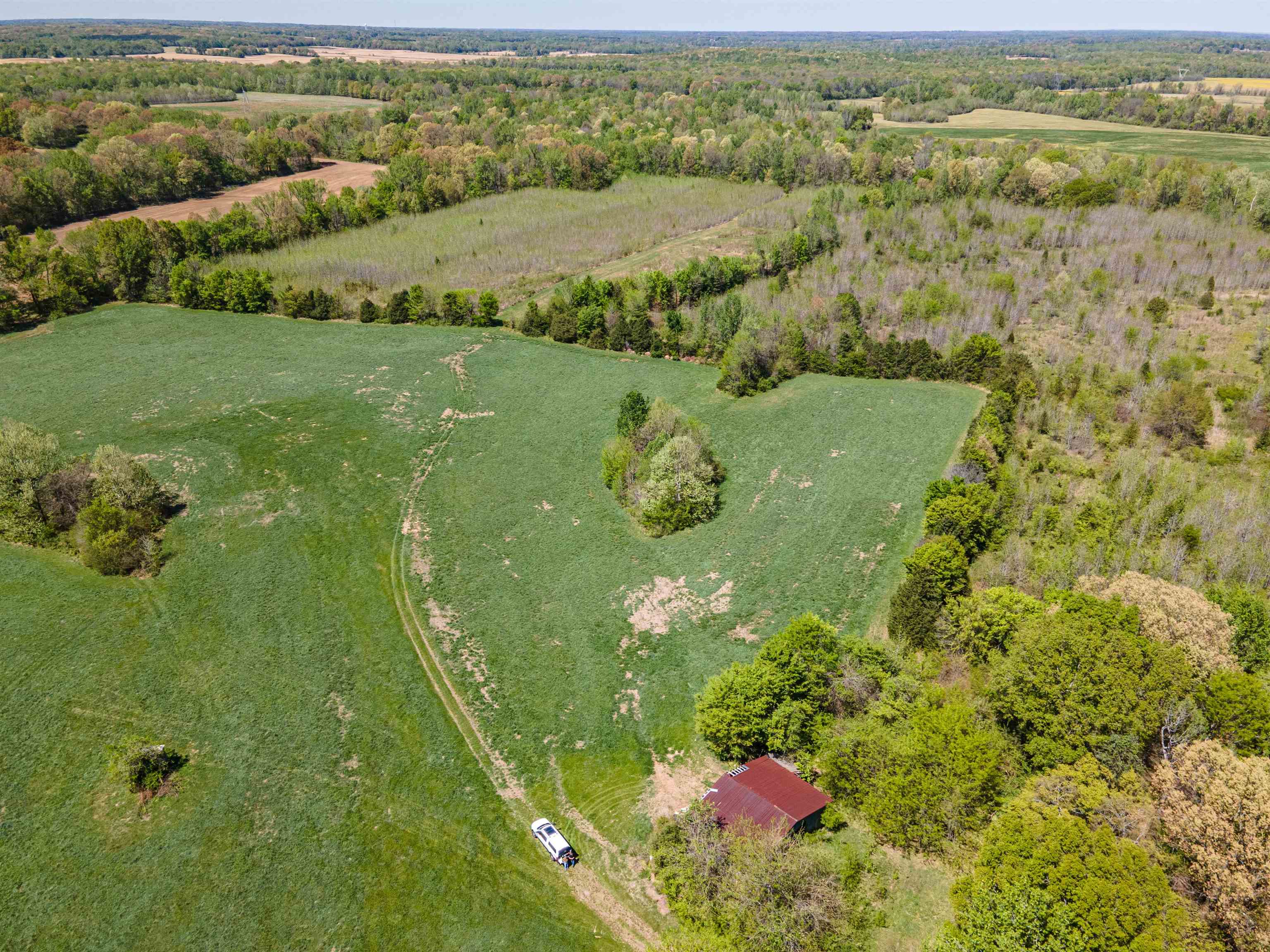 830 McKnight Loop Mason, TN 38049 - Photo 5 of 21