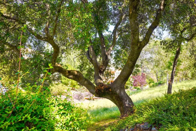 $659,500 | 50 Knolls Court, Copperopolis, CA 95228