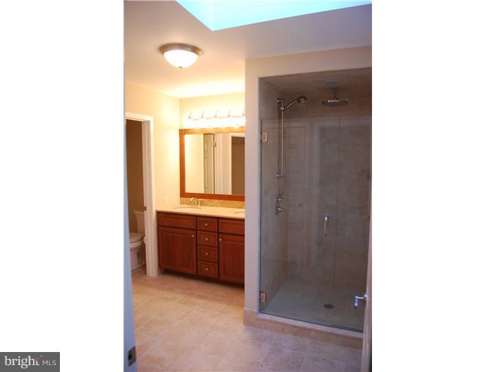 9 Windsor Circle Chesterbrook, PA 19087 - Photo 11 of 16 Master Bathroom