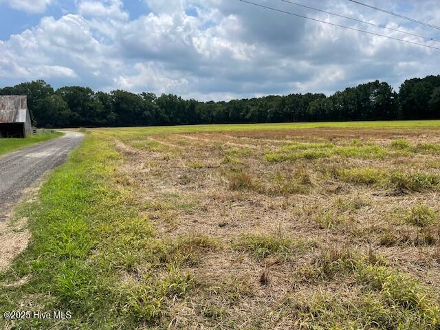 0 Fire Tower Road Rose Hill, NC 28458 - Photo 2 of 13 Fire Tower Road 1