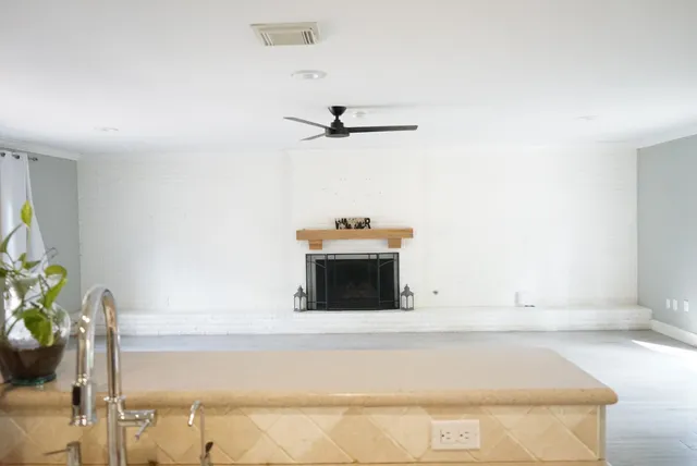 a living room with furniture and a potted plant