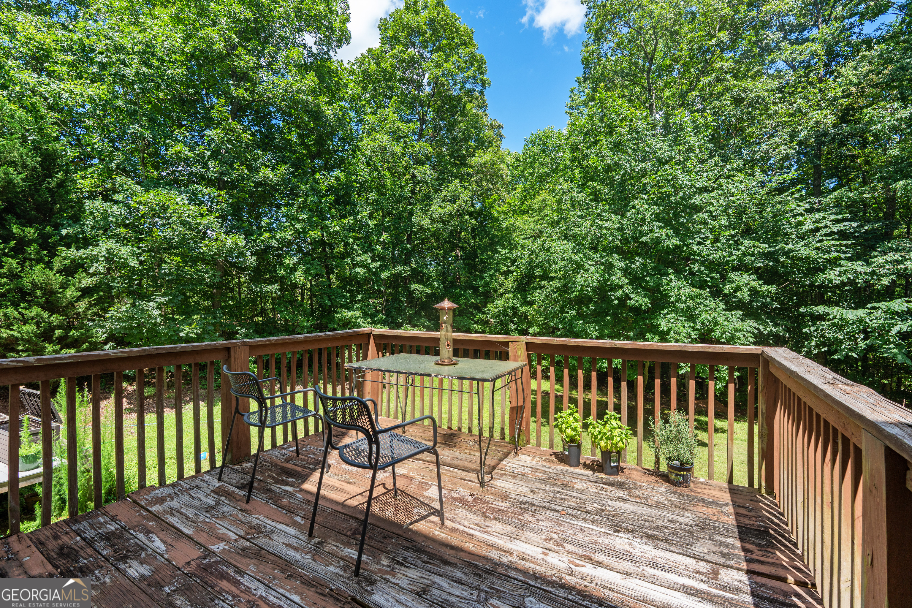 893 Hines Road Moreland, GA 30259 - Photo 52 of 62