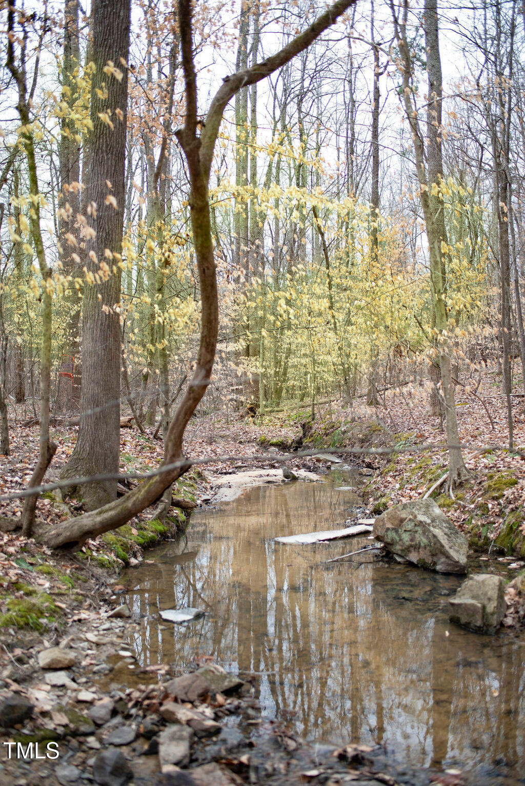8717 Allison Road Cedar Grove, NC 27231 - Photo 54 of 86 DSC_1905