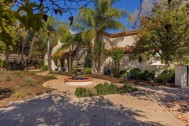 a view of a park with tree s