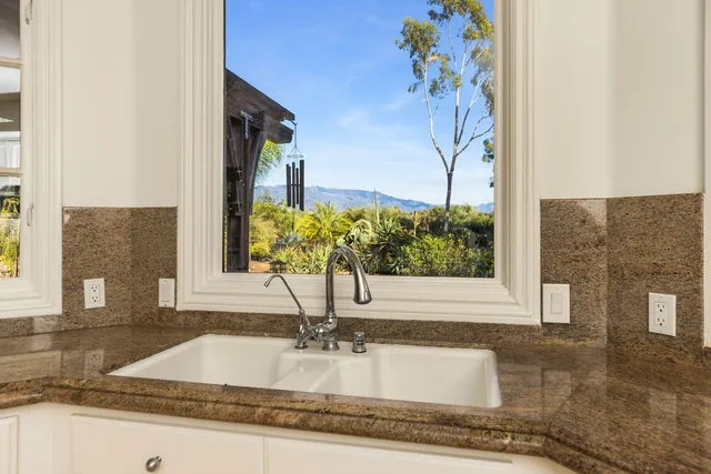 a close view of a sink a mirror and a potted plant