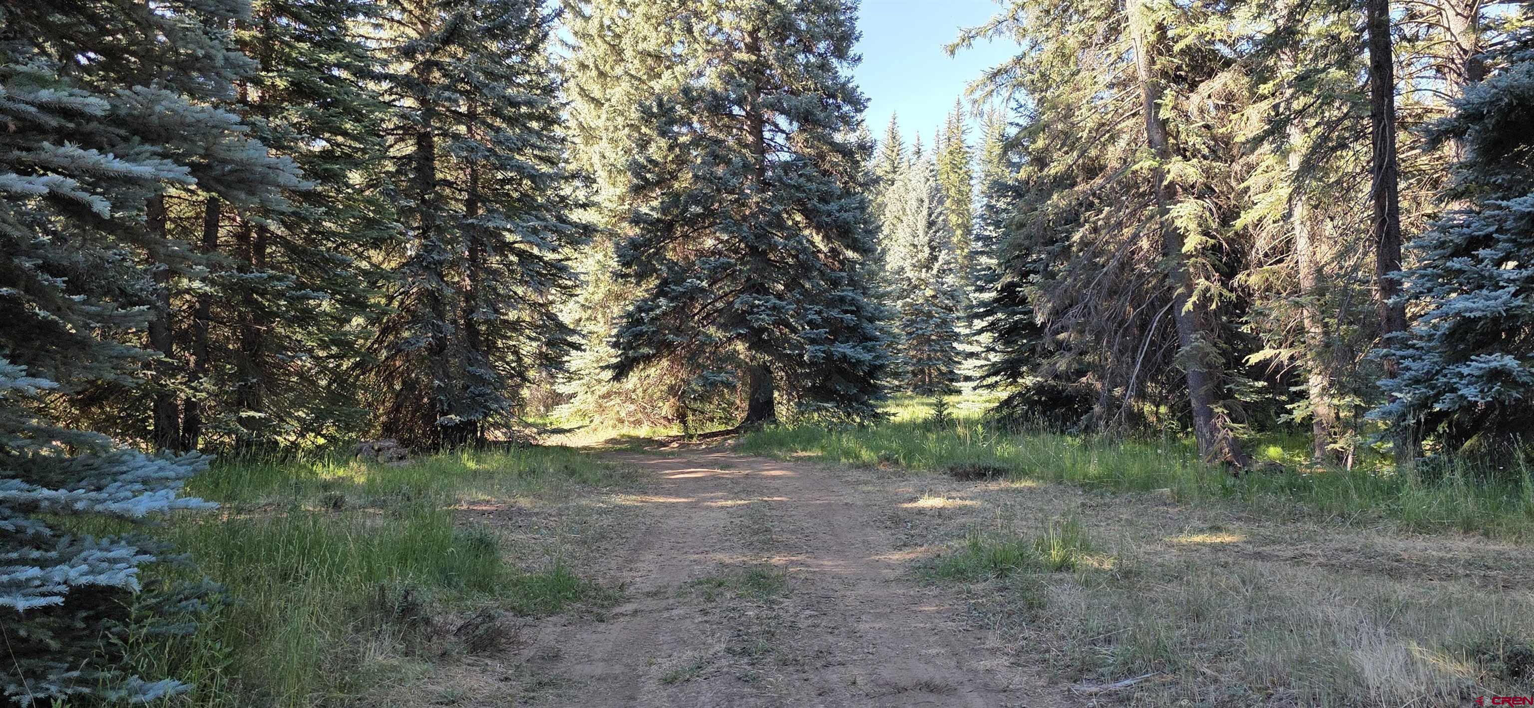 201 Golden Forest Road Bayfield, CO 81122 - Photo 14 of 37