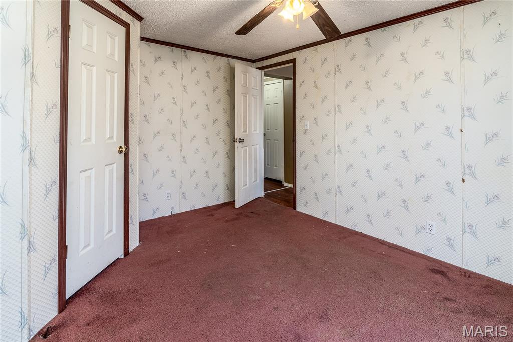 302 Russell Street Cambria, IL 62915 - Photo 8 of 40