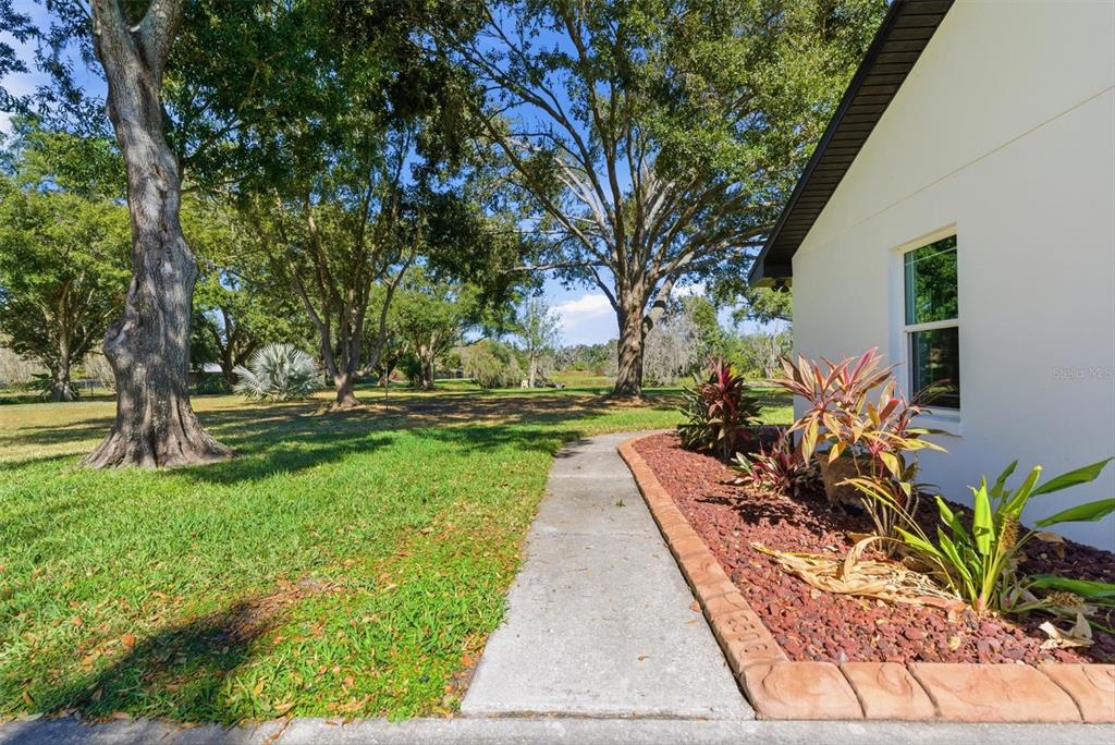 2506 Hawk Griffin Road Plant City, FL 33565 - Photo 12 of 54