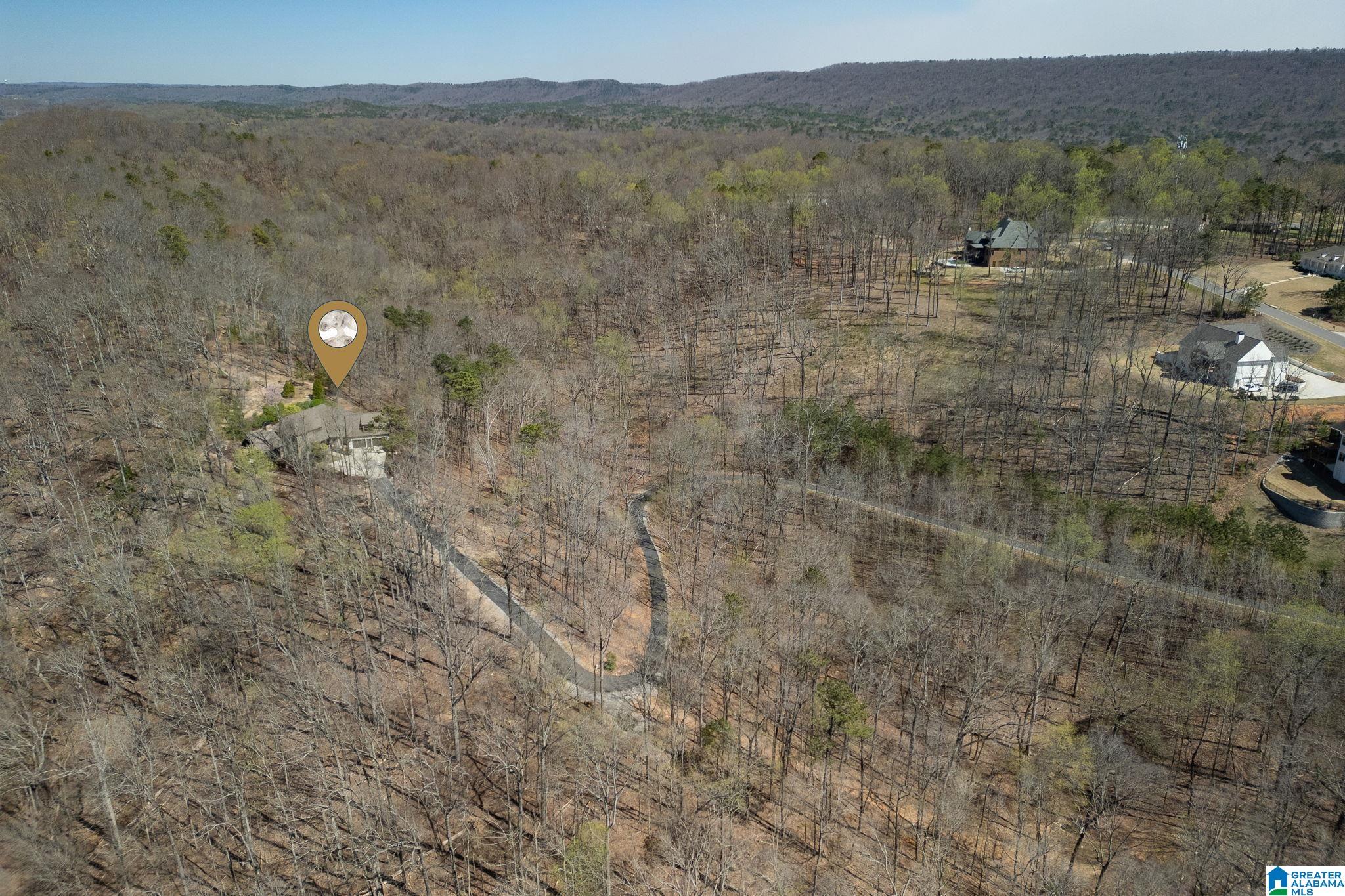 1045 Stagg Run Trail Pelham, AL 35124 - Photo 65 of 68