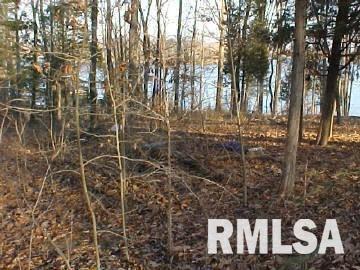 0 Pebble Point Road Marion, IL 62959 - Photo 2 of 7