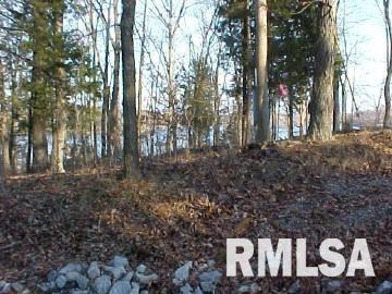 0 Pebble Point Road Marion, IL 62959 - Photo 3 of 7