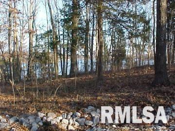 0 Pebble Point Road Marion, IL 62959 - Photo 4 of 7