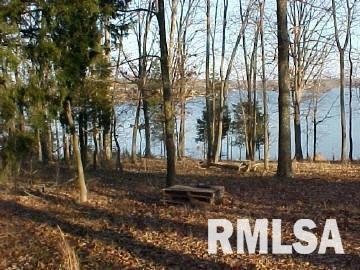0 Pebble Point Road Marion, IL 62959 - Photo 5 of 7