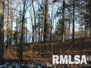0 Pebble Point Road Marion, IL 62959 - Photo 6 of 7
