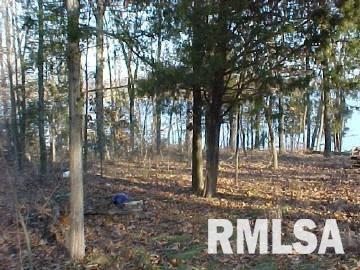 0 Pebble Point Road Marion, IL 62959 - Photo 7 of 7