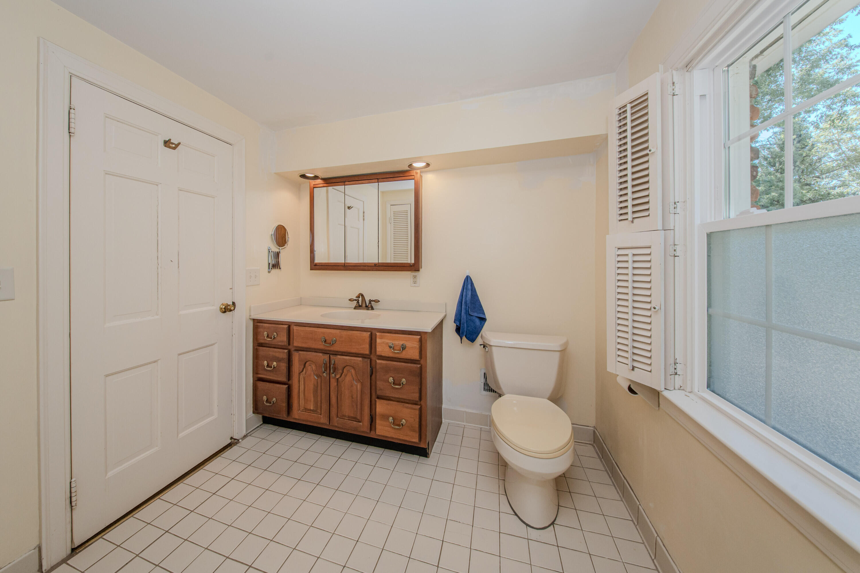 675 Mooreville Road Milan, MI 48160 - Photo 36 of 93 36 Primary bath 1