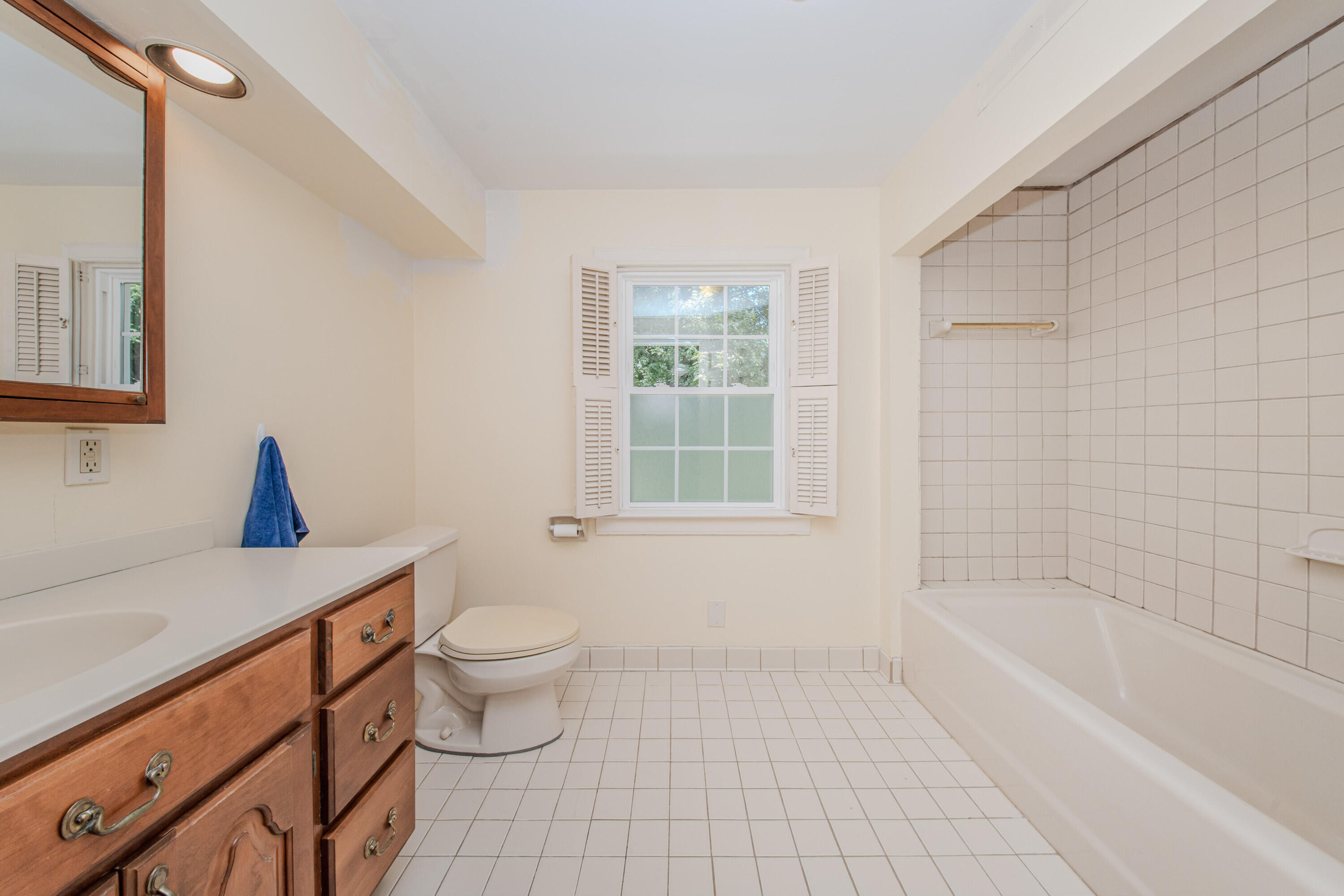 675 Mooreville Road Milan, MI 48160 - Photo 37 of 93 37 Primary bath 2