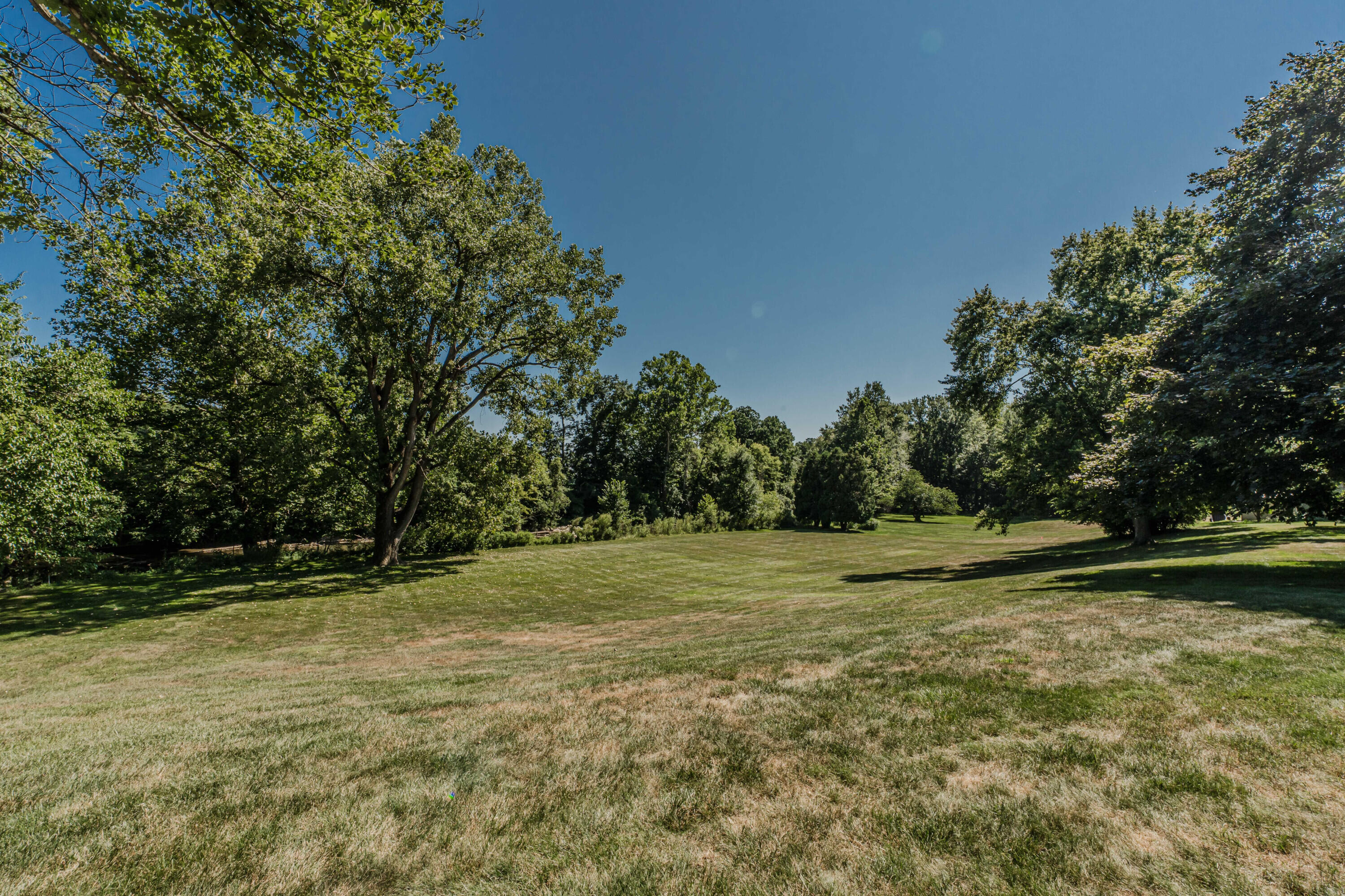 675 Mooreville Road Milan, MI 48160 - Photo 5 of 93 04 Back yard 1