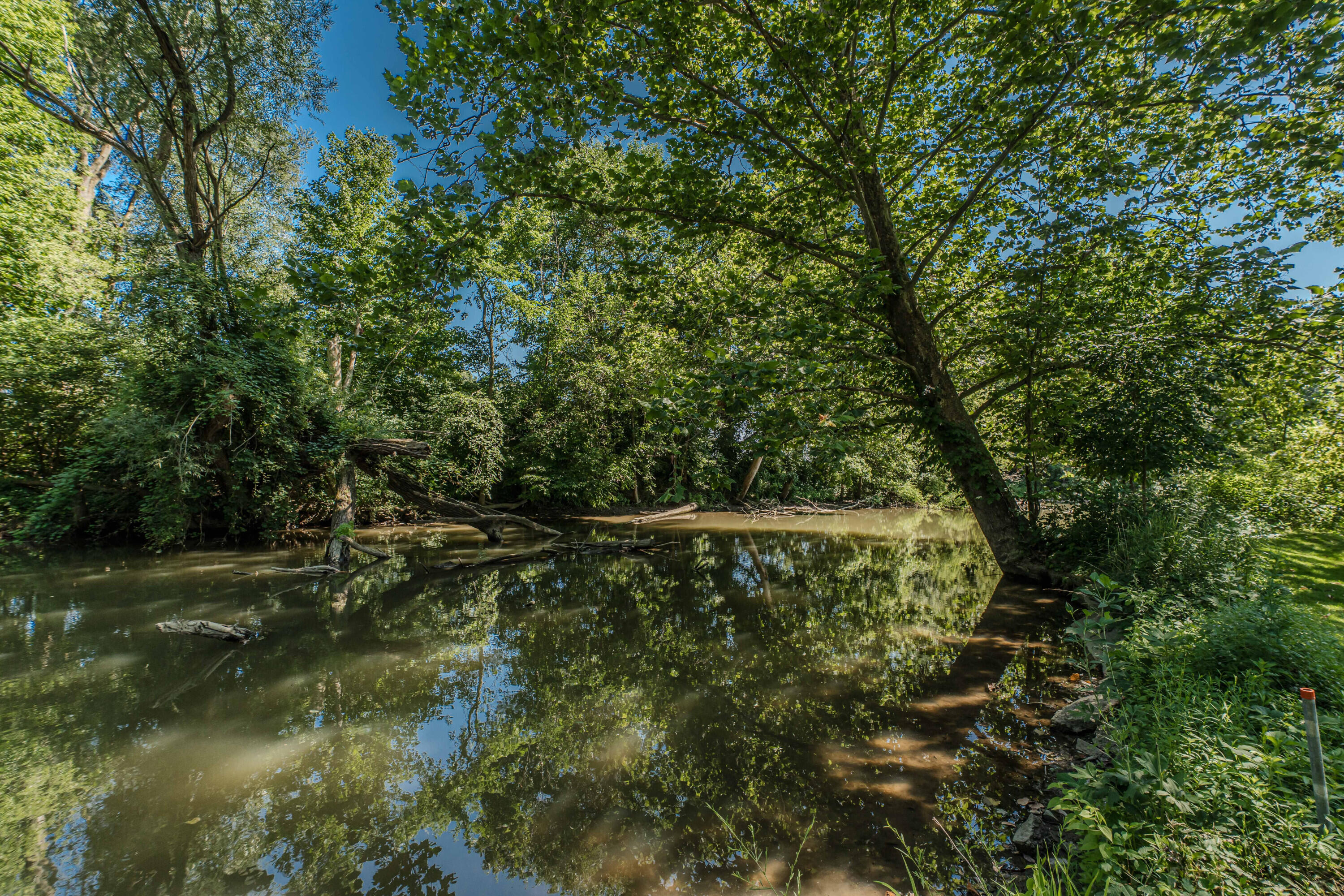 675 Mooreville Road Milan, MI 48160 - Photo 69 of 93 69 River view 2