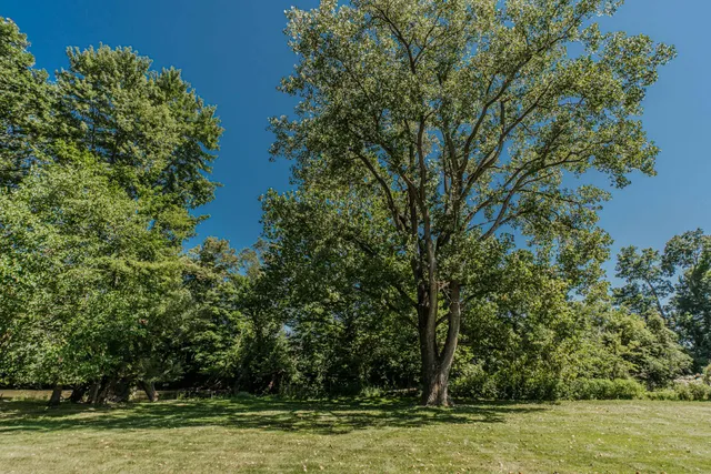 $599,000 | 675 Mooreville Road, Milan, MI 48160