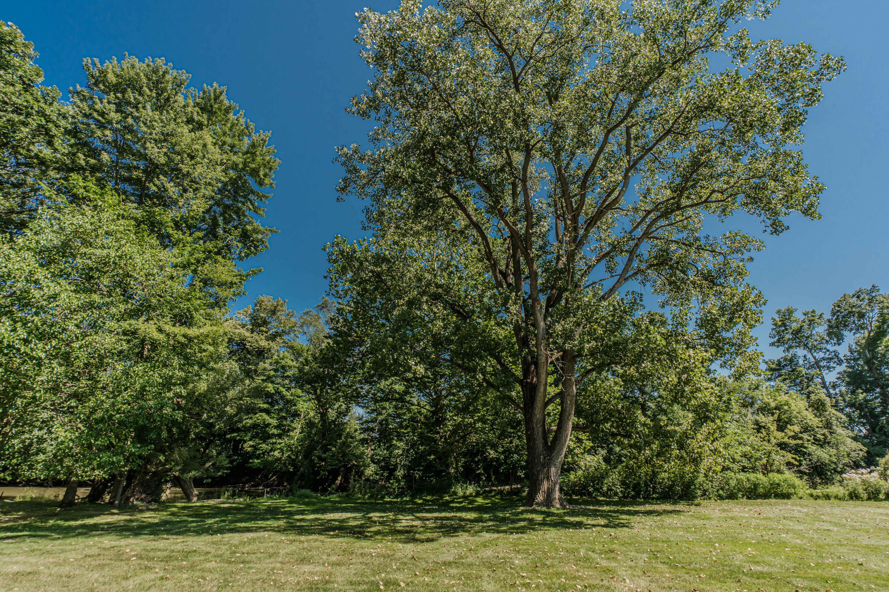 675 Mooreville Road Milan, MI 48160 - Photo 86 of 93 Back yard 2