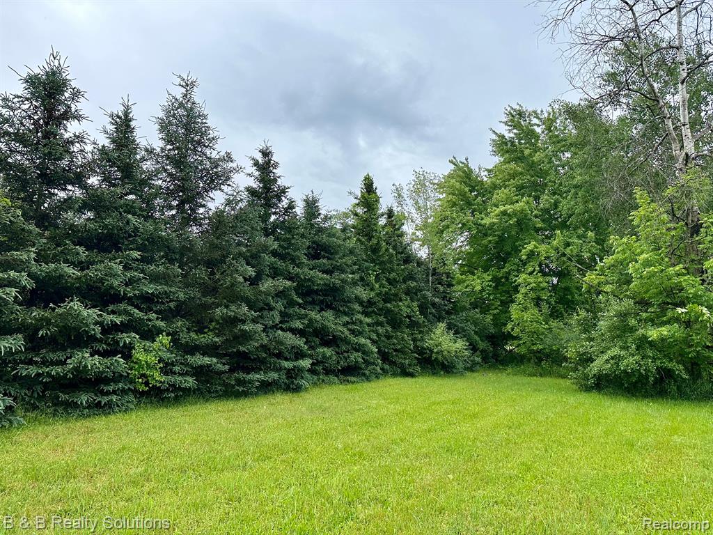 0 South Lake Pleasant Road Metamora, MI 48455 - Photo 1 of 32