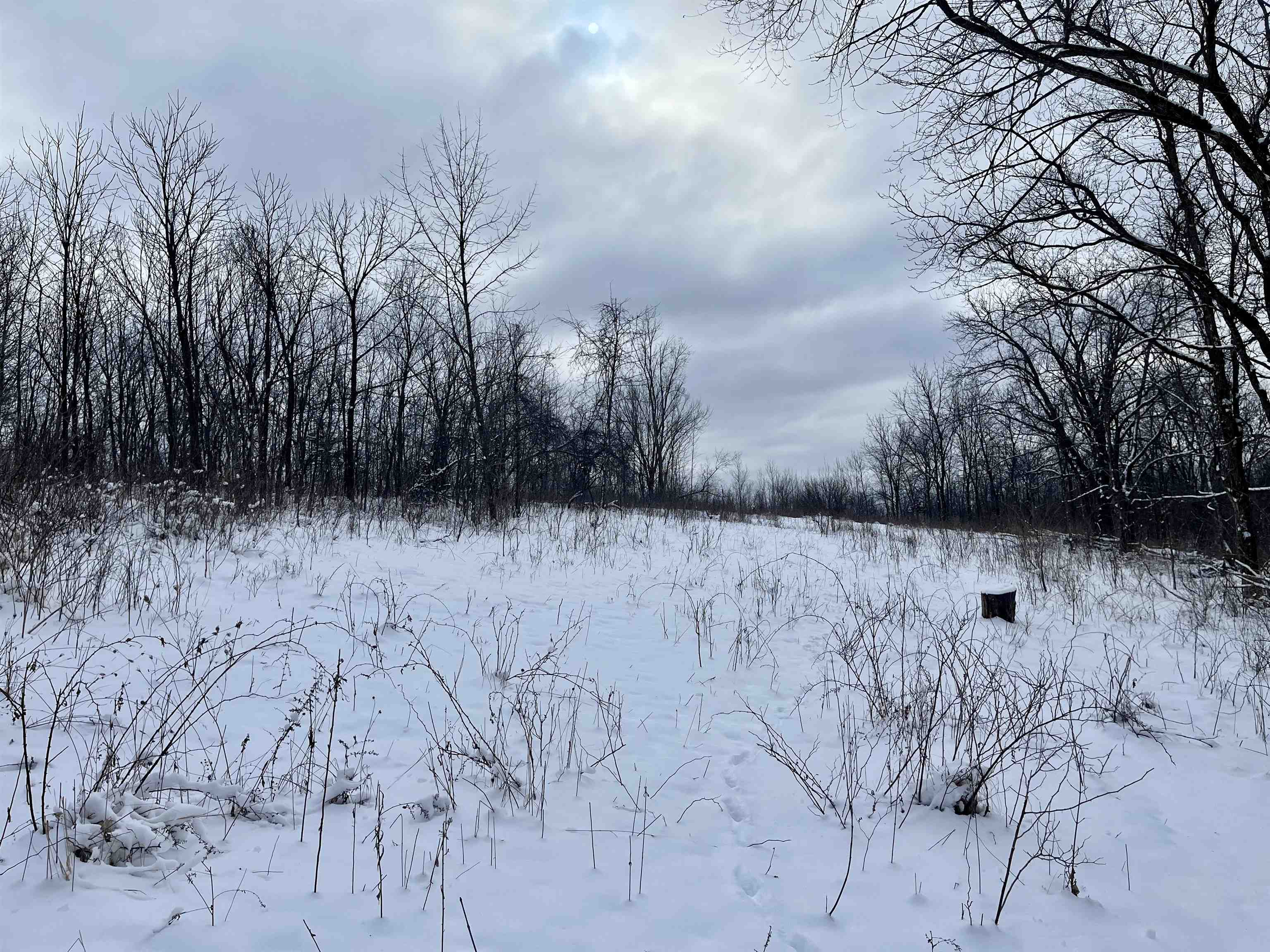 79 Acres Byers Road Boscobel, WI 53805 - Photo 11 of 24