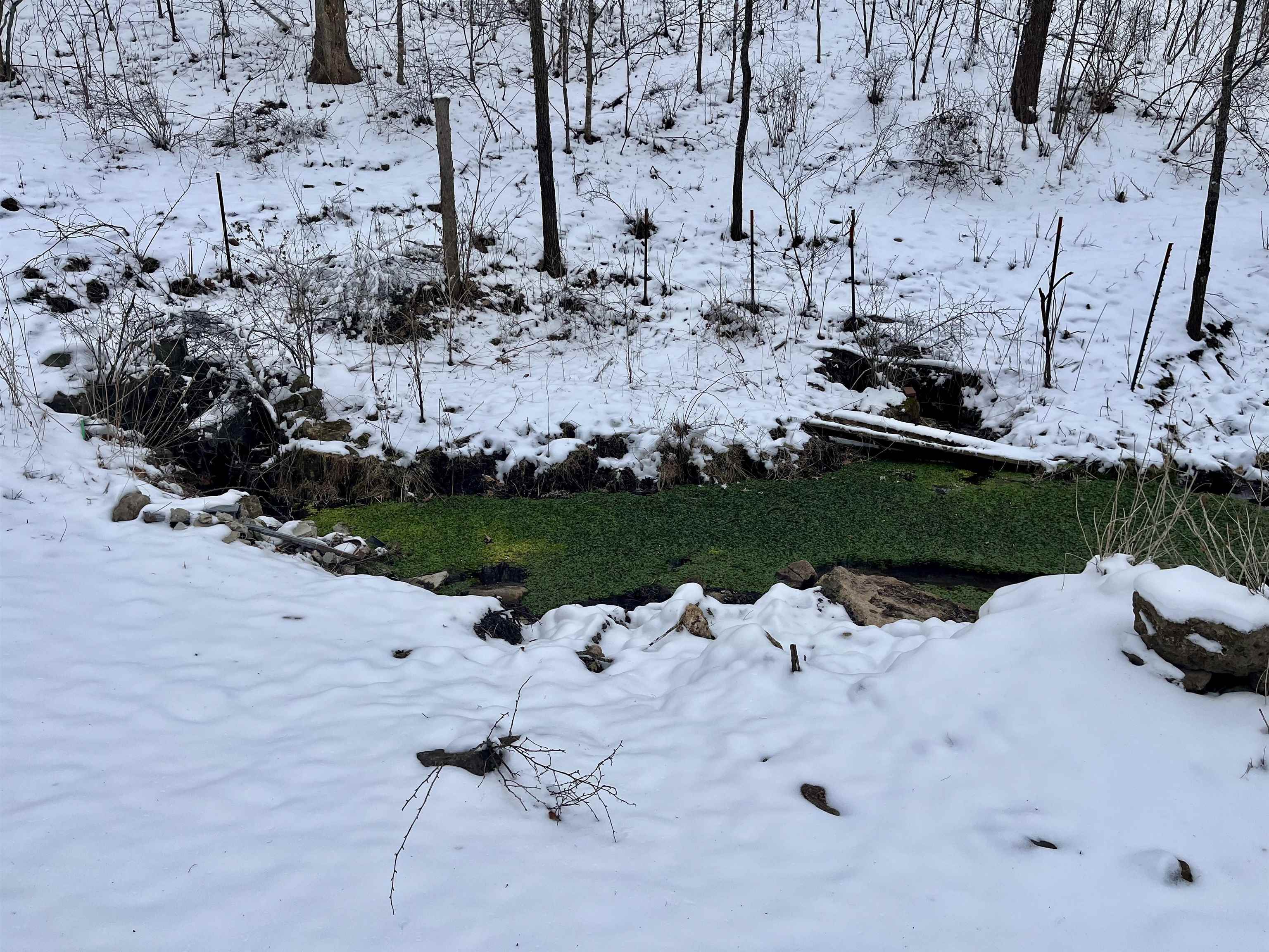 79 Acres Byers Road Boscobel, WI 53805 - Photo 12 of 24