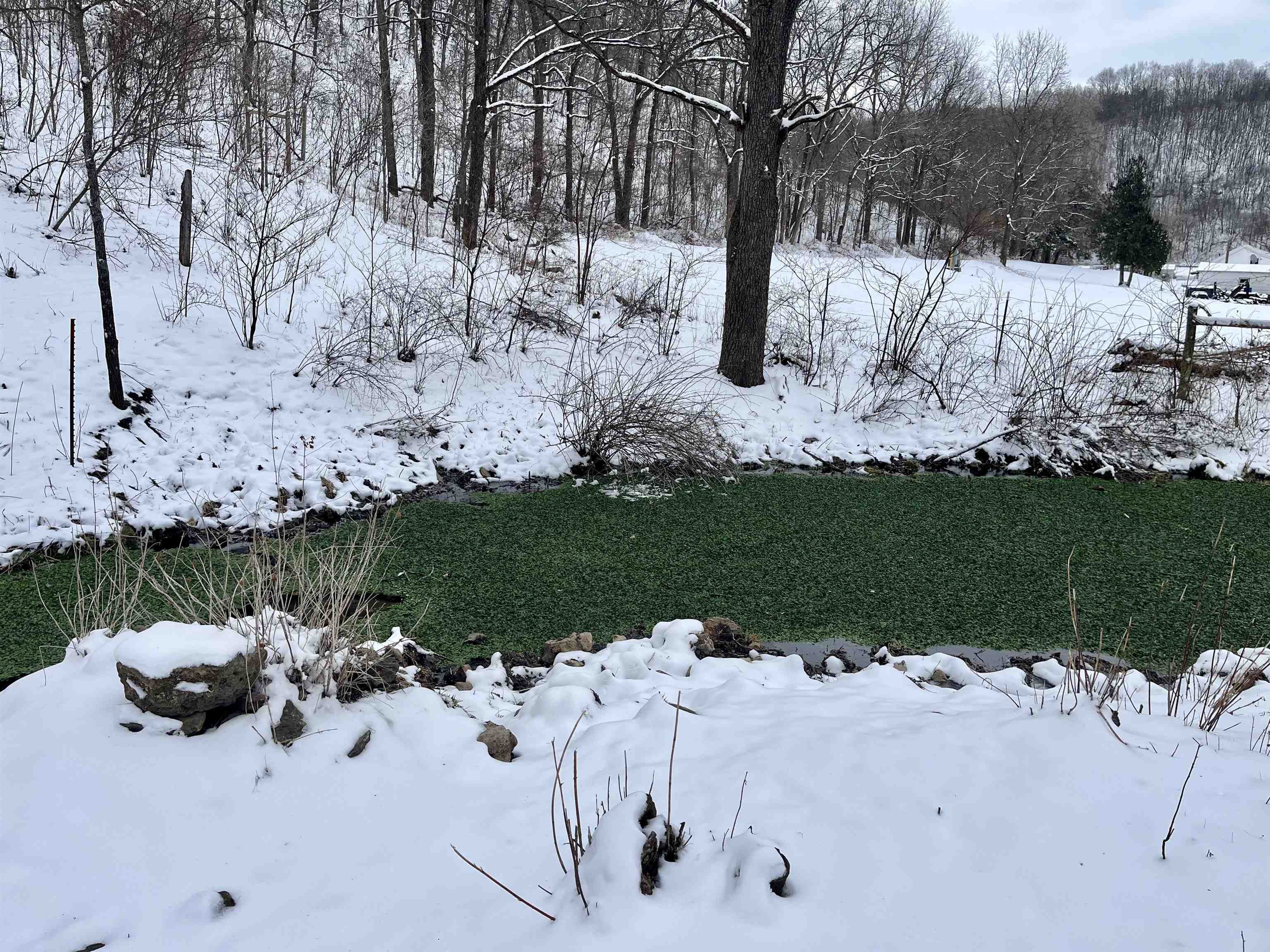 79 Acres Byers Road Boscobel, WI 53805 - Photo 13 of 24