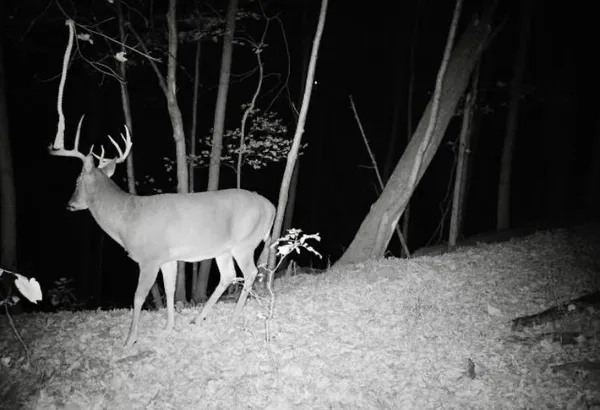 $710,000 | 79 Acres Byers Road, Boscobel, WI 53805