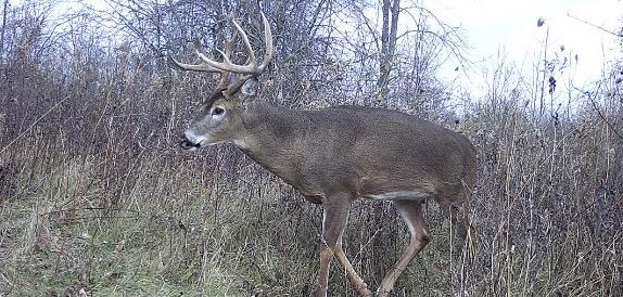 79 Acres Byers Road Boscobel, WI 53805 - Photo 18 of 24