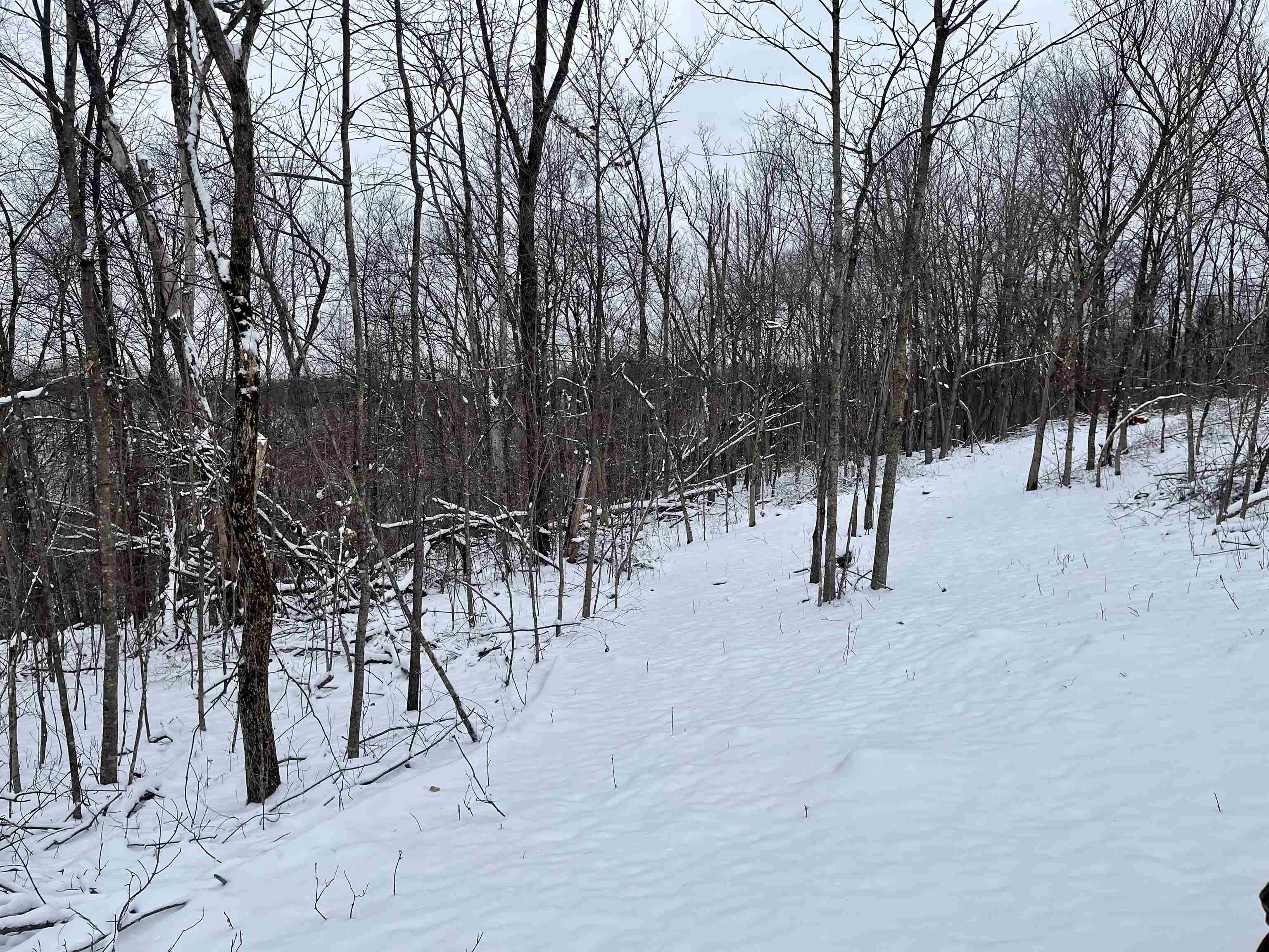 79 Acres Byers Road Boscobel, WI 53805 - Photo 2 of 24
