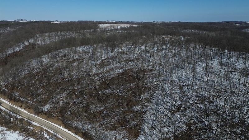 79 Acres Byers Road Boscobel, WI 53805 - Photo 21 of 24