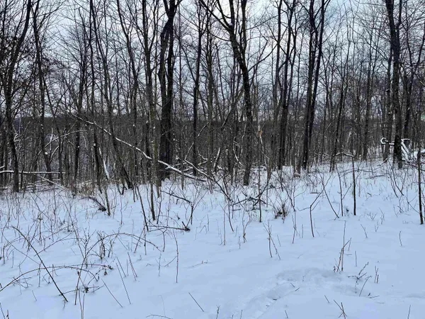 $710,000 | 79 Acres Byers Road, Boscobel, WI 53805