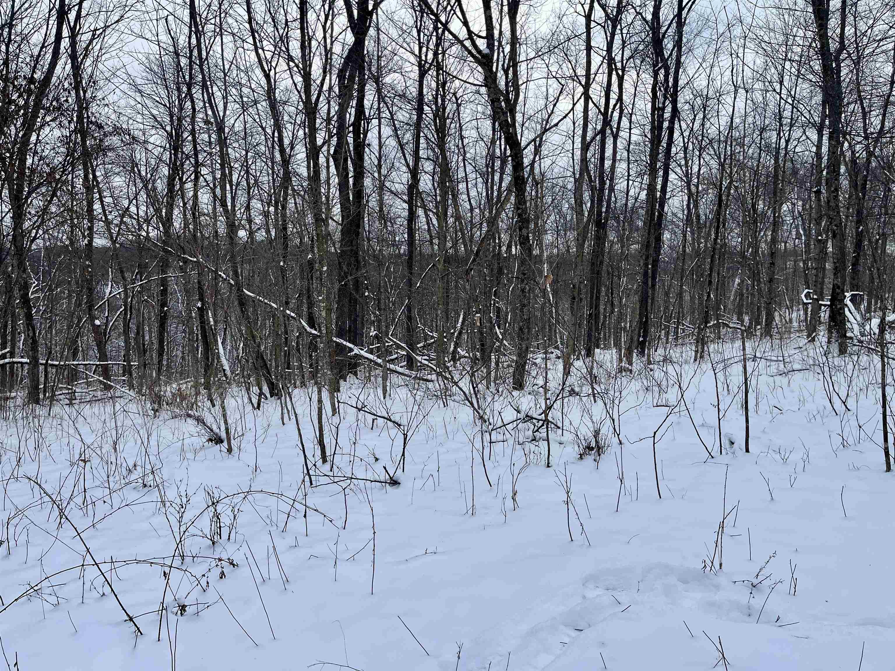 79 Acres Byers Road Boscobel, WI 53805 - Photo 5 of 24