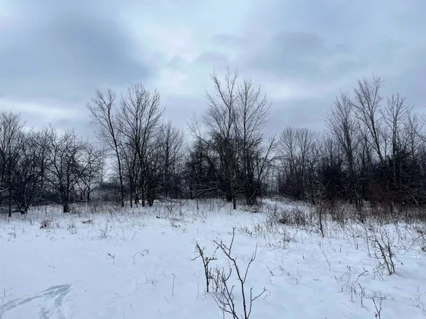 $710,000 | 79 Acres Byers Road, Boscobel, WI 53805