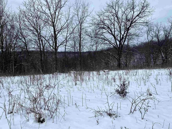 $710,000 | 79 Acres Byers Road, Boscobel, WI 53805