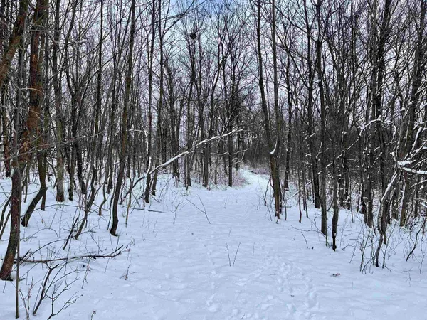 $710,000 | 79 Acres Byers Road, Boscobel, WI 53805
